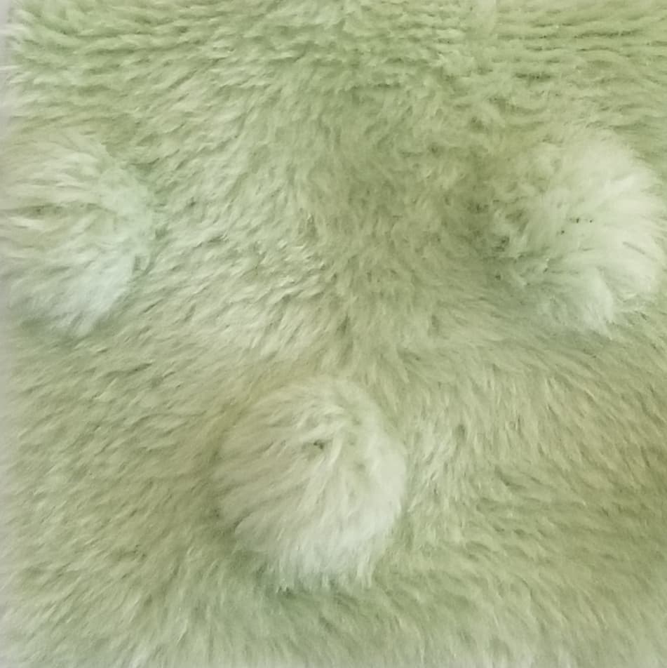 Winter Green